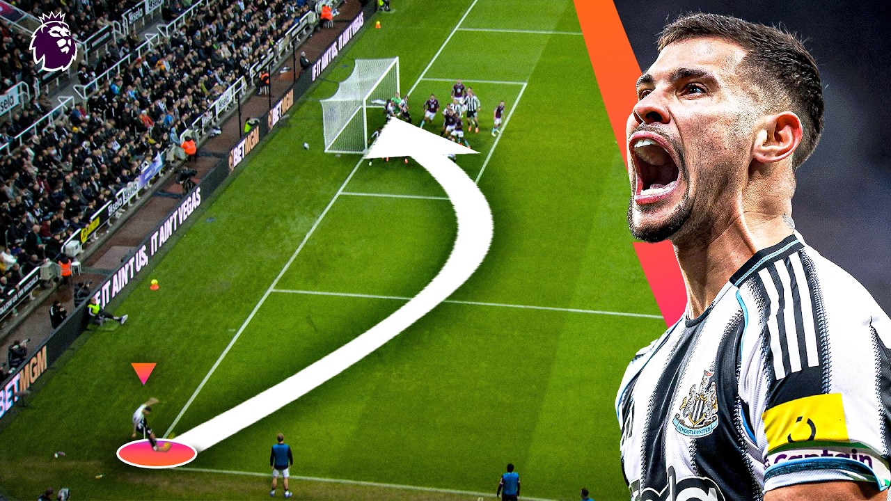 The Best Of Bruno Guimaraes In The Premier League