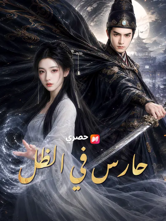 حارس في الظل poster