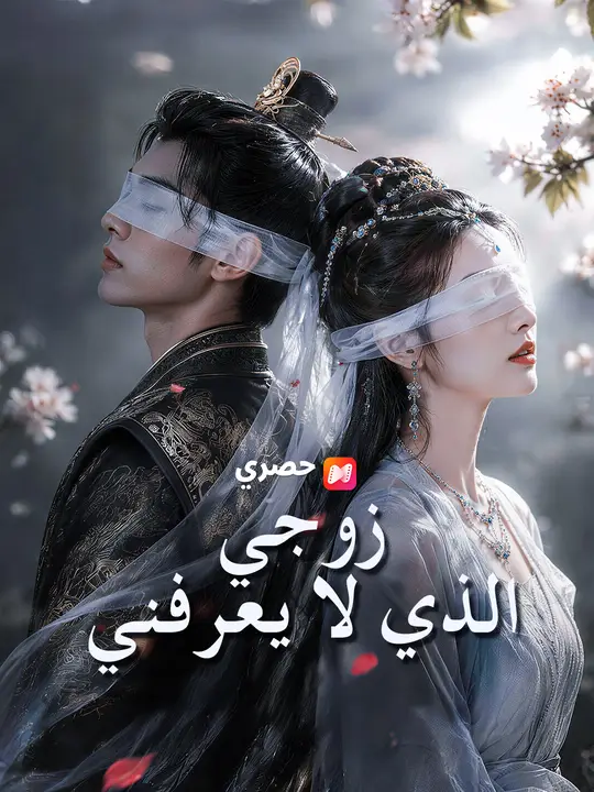 زوجي الذي لا يعرفني poster