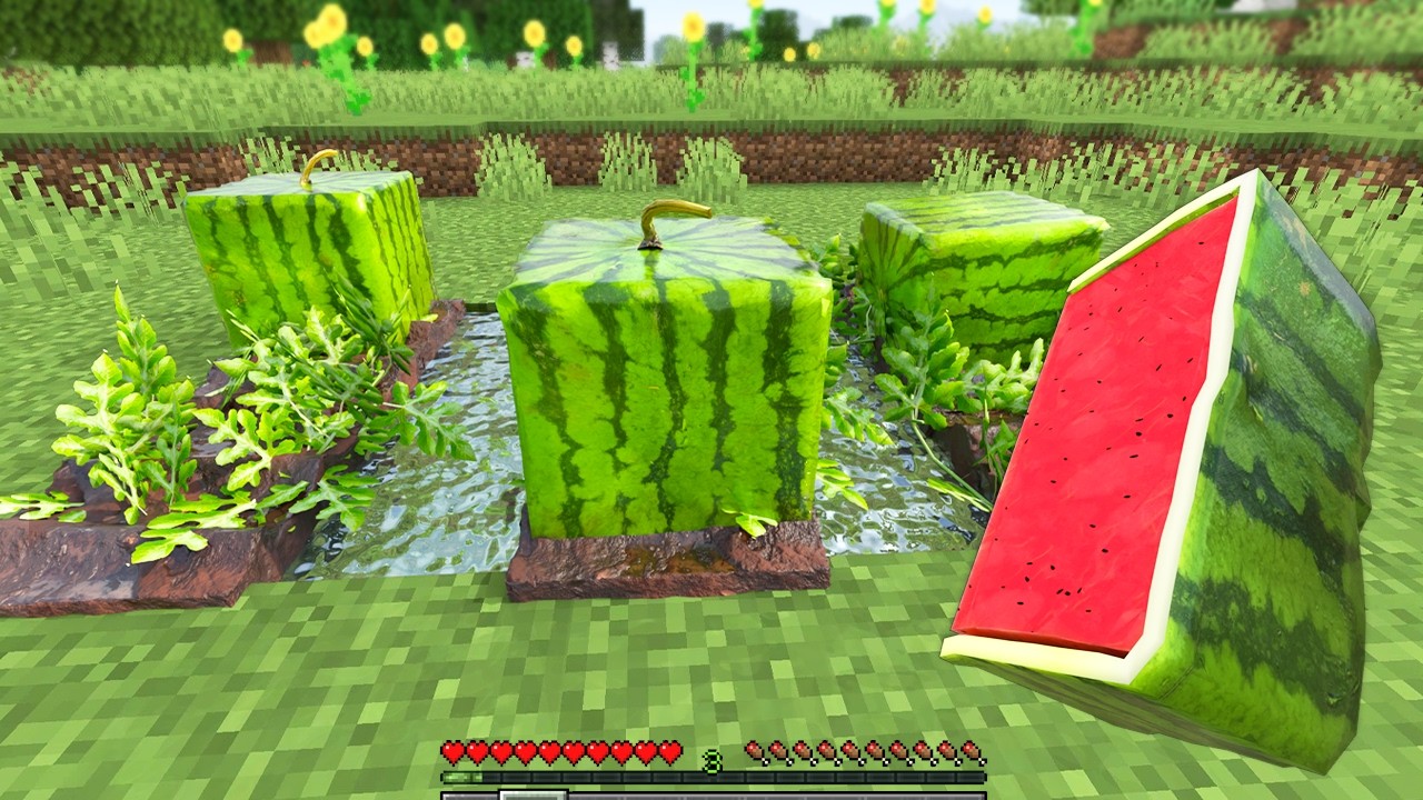 I Cut a Realistic Watermelon in Minecraft π