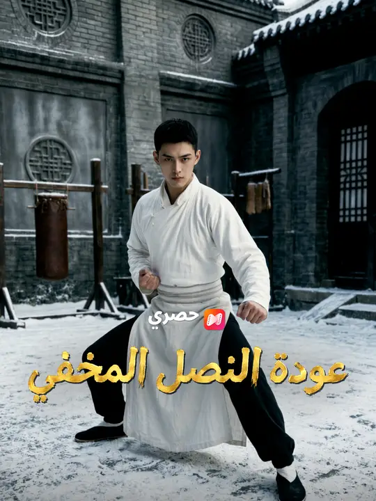 عودة النصل المخفي poster
