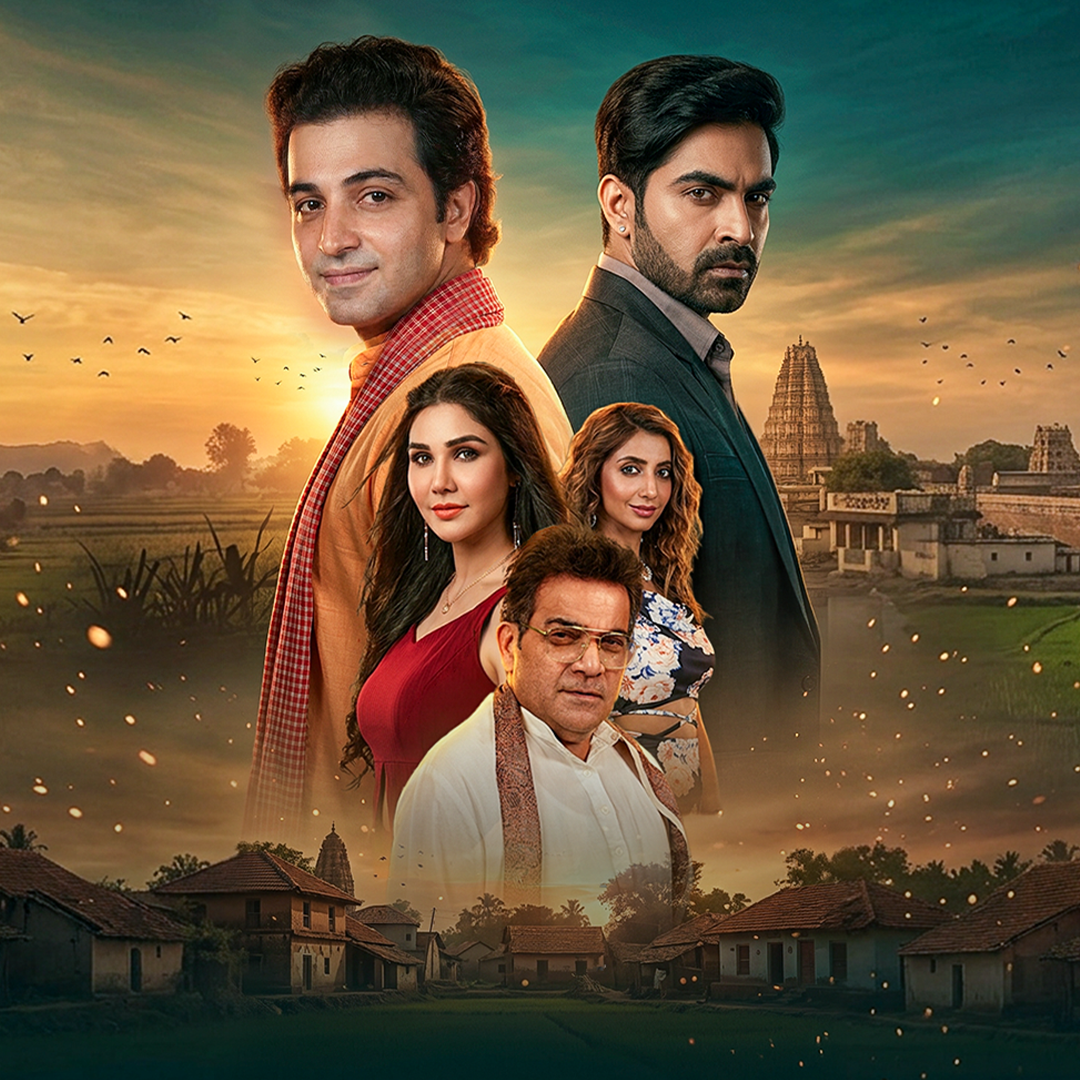 The Real Accidental Waaris poster