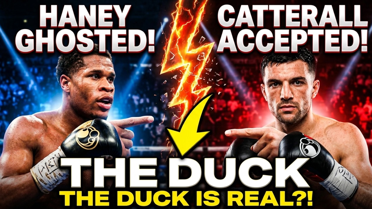 "He Accepted" & Heard Nothing" — The Real Reason Haney IS DUCKING Catterall. background