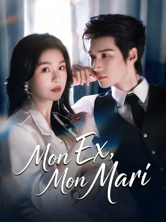 (Doublage) MON EX, MON MARI poster