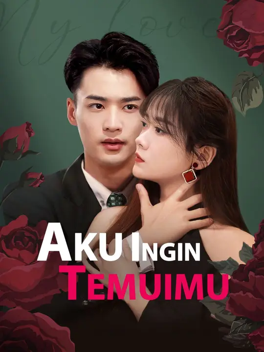 Aku Ingin Temuimu poster
