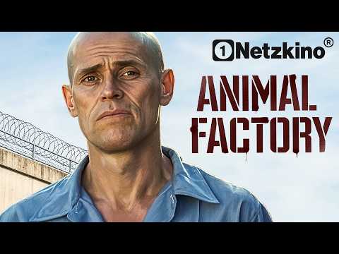 WILLEM DAFOE in ANIMAL FACTORY – RACHE EINES VERURTEILTEN (Ganzer Film, Filme Deutsch komplett 2026) background