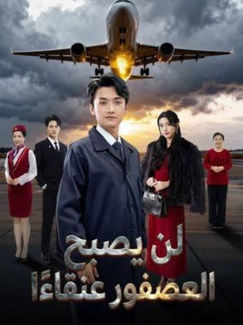 لن يصبح العصفور عنقاء poster