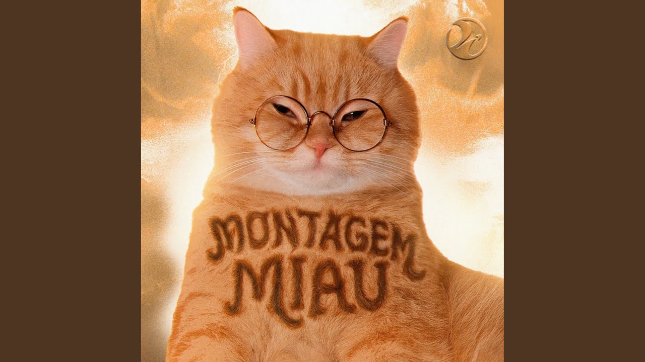 MONTAGEM MIAU background