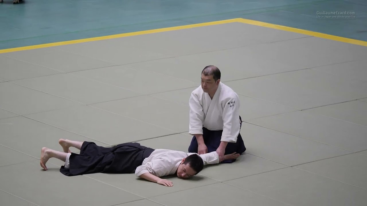 Yamamoto Hirofumi - 63rd All Japan Aikido Demonstration 2026 background