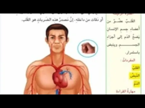 علوم للصف الثاني ابتدائي background