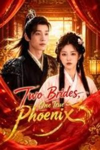 two brides one true phoenix poster
