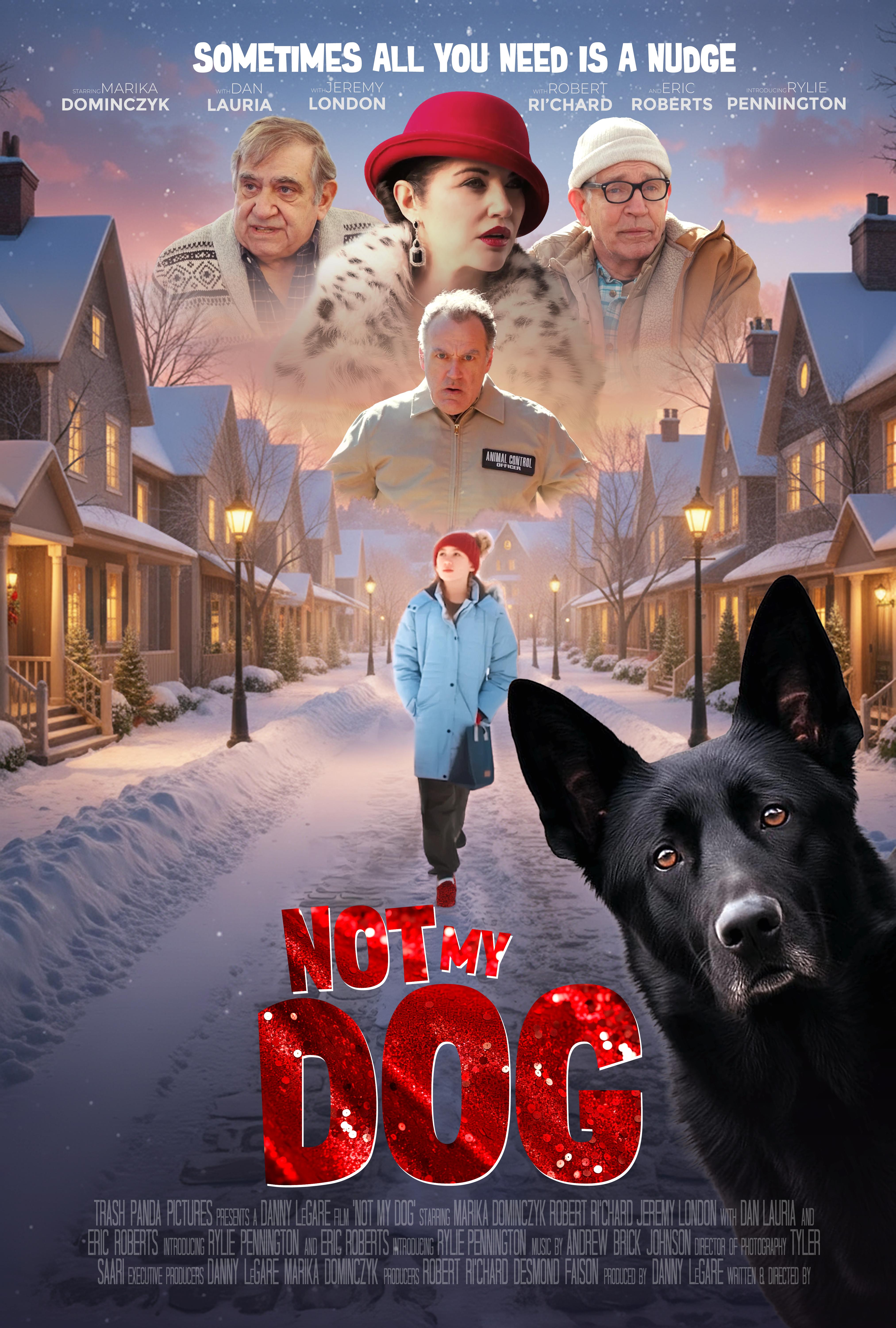 Not My Dog