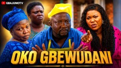 OKO GBEWUDANI poster