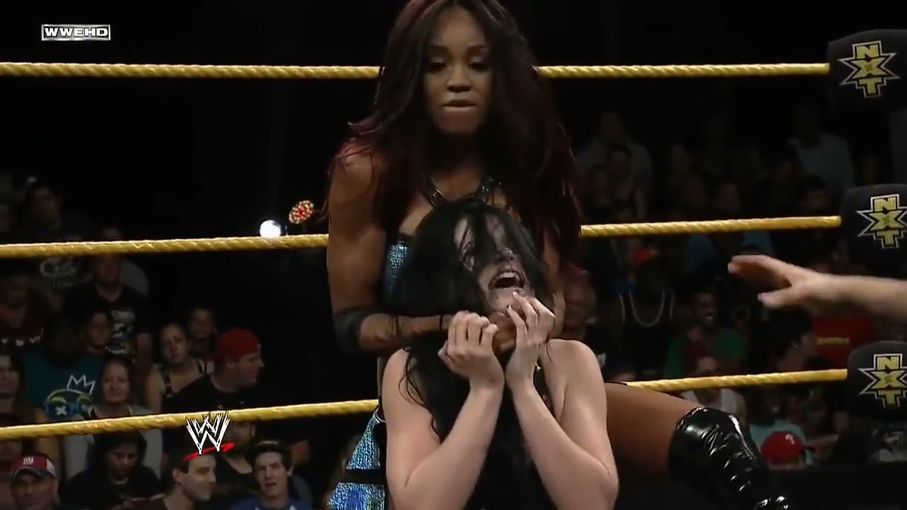 NXT 7/3/2013: Alicia Fox vs Paige background