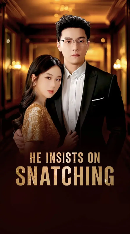 He Insists on Snatching poster