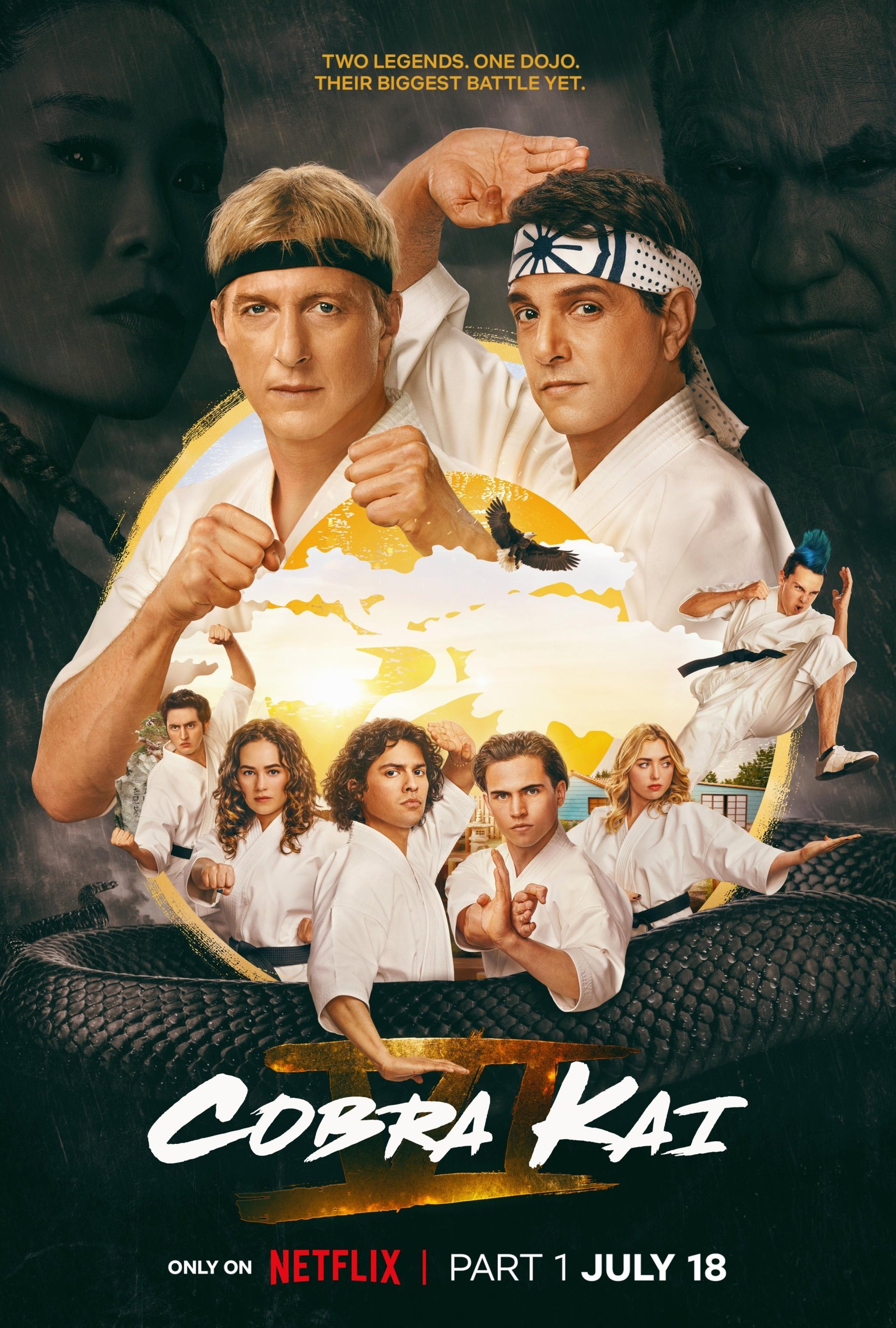 Cobra Kai S1-S6 background