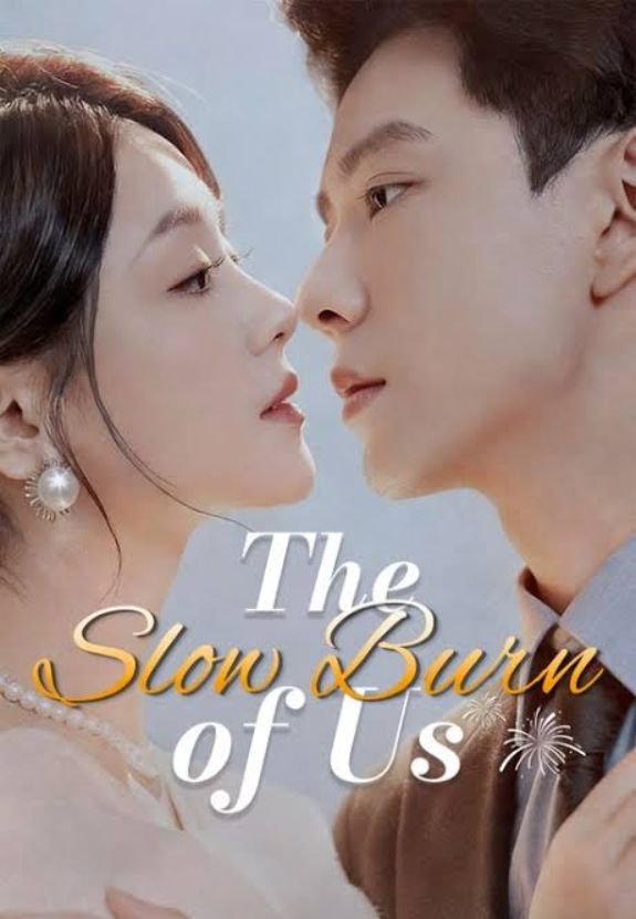 the slow burn of us poster