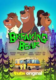 Breaking Bear