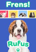 Rufus Frens