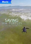 Saving Sea Turtles: Preventing Extinction poster