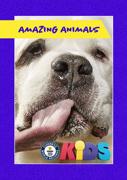 Amazing Animals S1-S6 backdrop