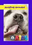 Amazing Animals