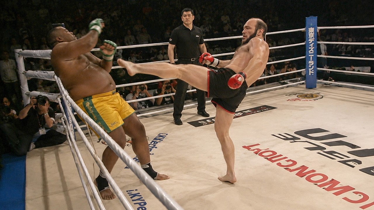 Nobody Expected These Taekwondo Kicks To Be This Brutal