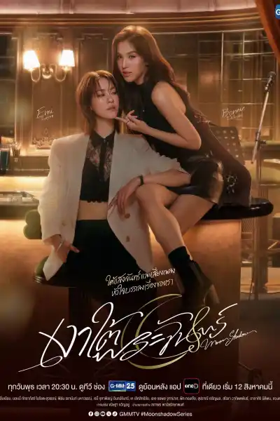 Moon Shadow poster