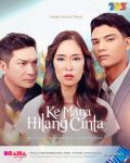 Ke Mana Hilang Cinta