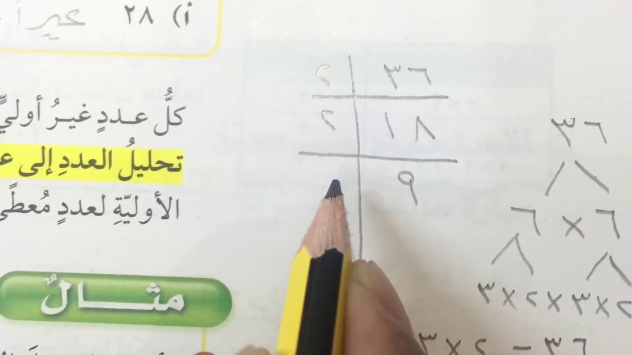 رياضيات سادس الفصل الأول