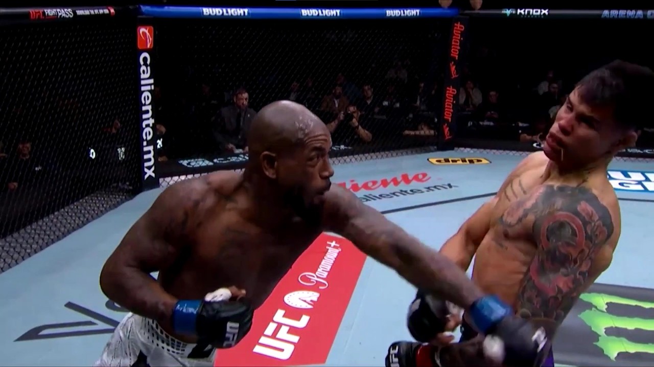Best 2026 UFC Knockouts background