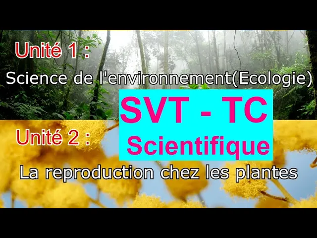 Tronc Commun section internationale