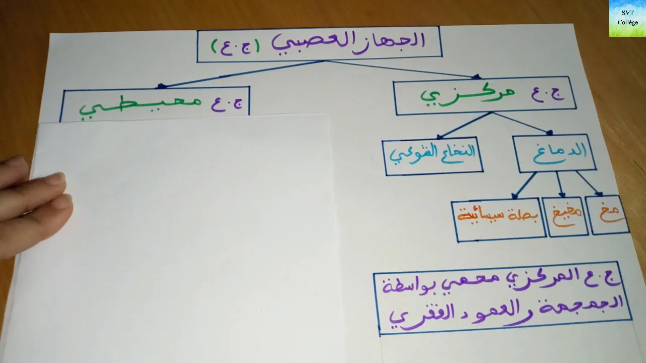 3AC - الثالثة اعدادي مسلك عام