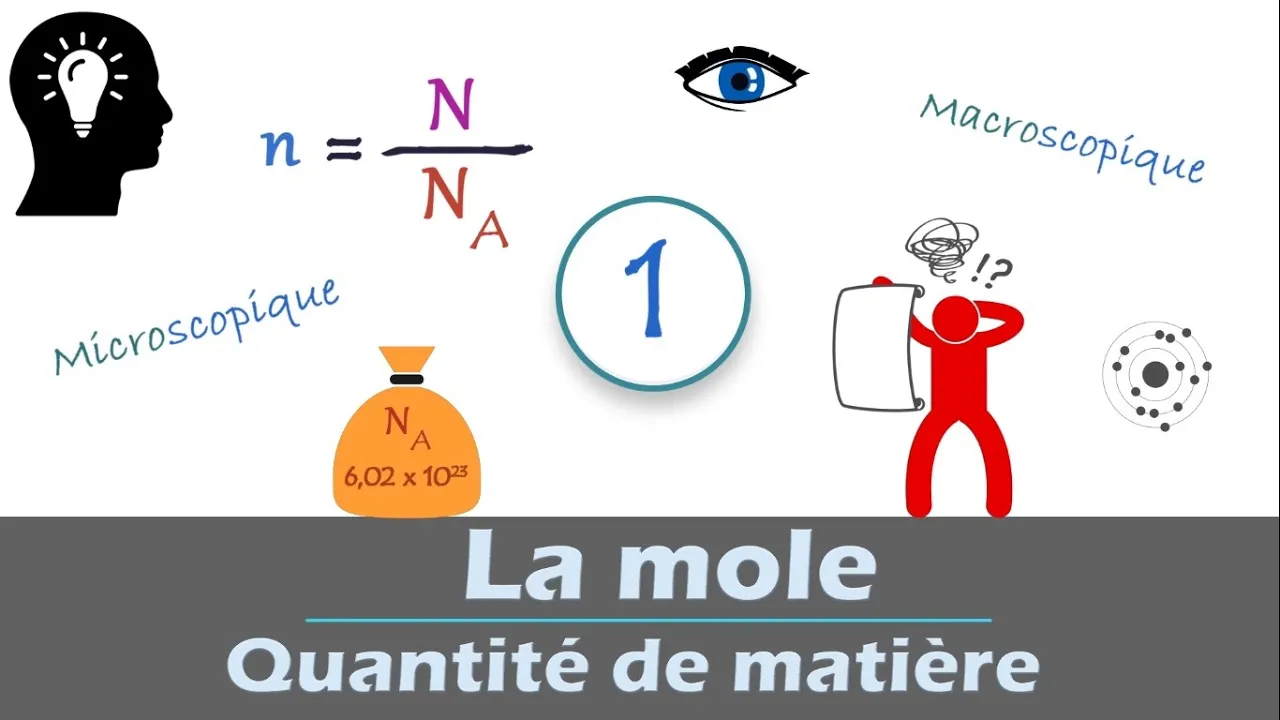 1ère Spécialité