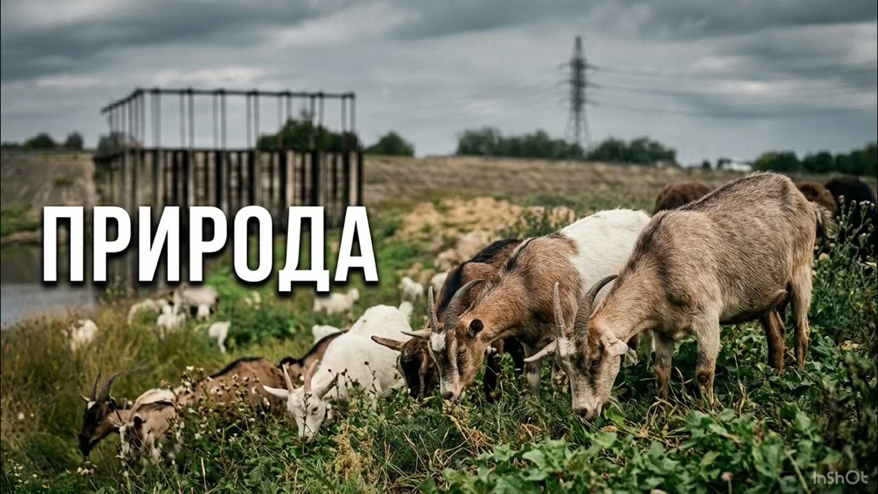 15 сентября 2026 г. background