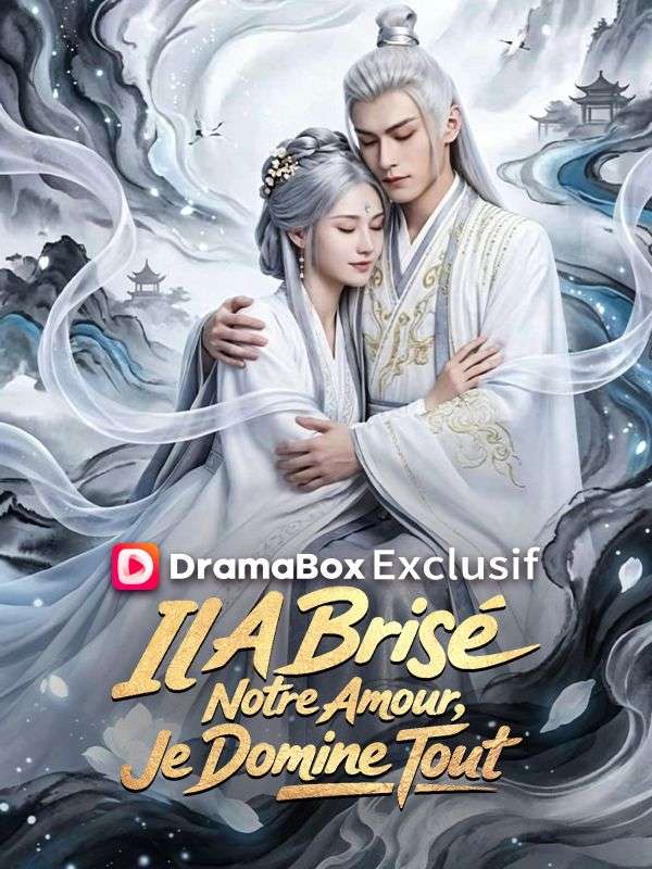 Il A Brisé Notre Amour, Je Domine Tout ( Doublé ) poster