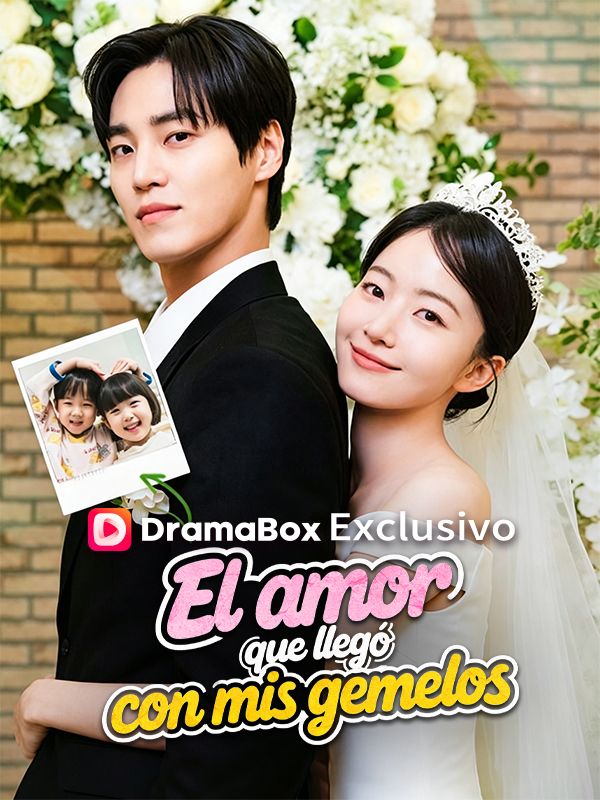 El amor que llegó con mis gemelos poster