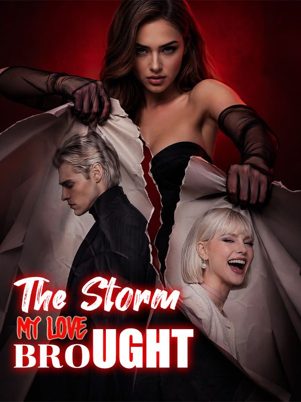 The Storm My Love Brought poster