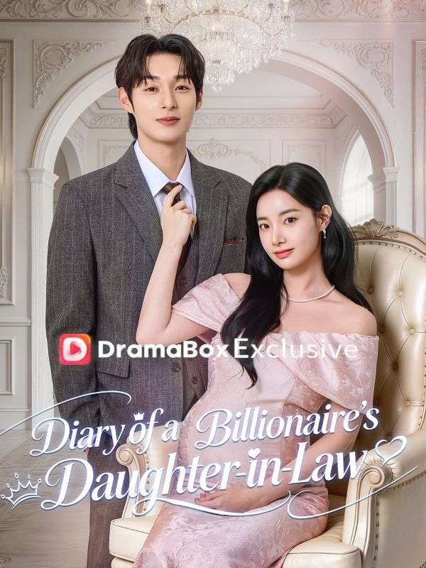 Diary of a Billionaire's Daughter-in-Law(DUBBED) poster