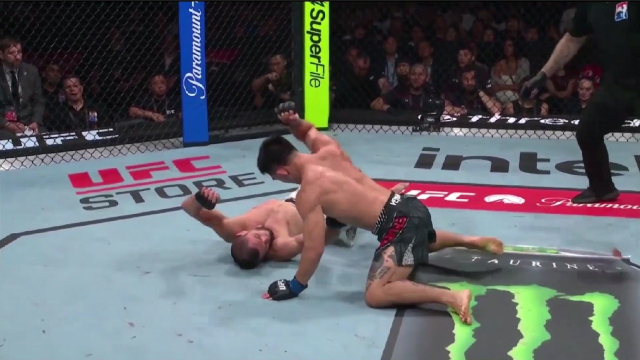 2026 UFC Knockouts background
