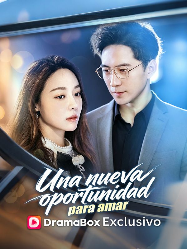 Una nueva oportunidad para amar poster