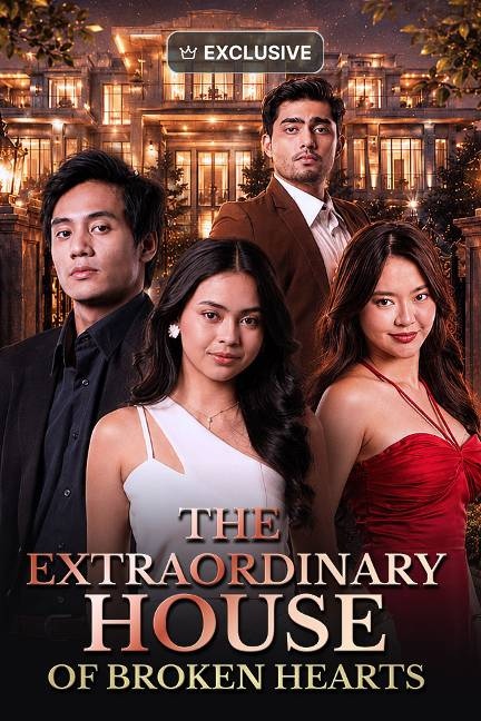 The Extraordinary House Of Broken Hearts poster