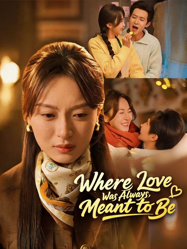Where Love Was Always Meant to Be（DUBBED） poster