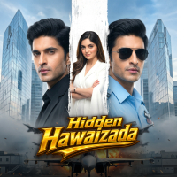 Hidden Hawaizada