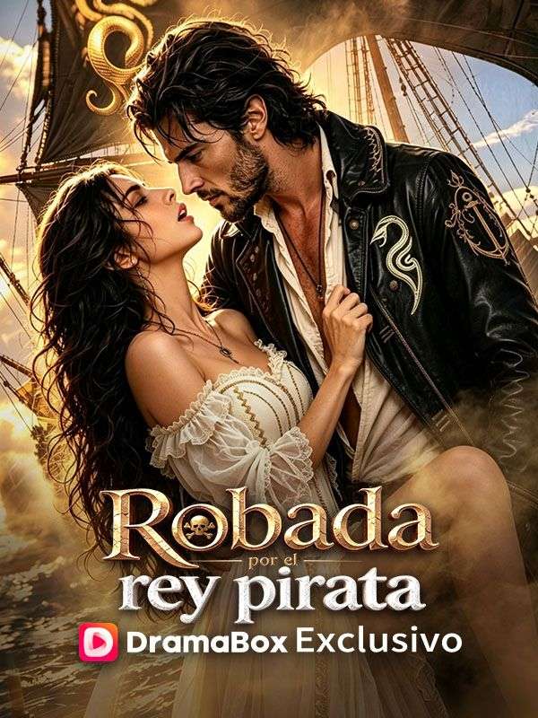 Robada por el rey pirata poster