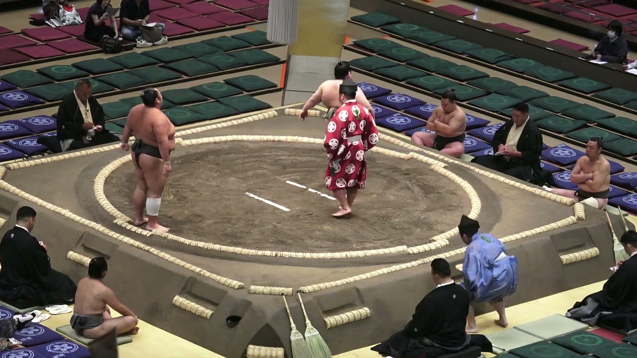 《序二段》磐受 東浪 鶴ノ海 達ノ森 安琉海 朝昴 他【大相撲令和8年9月場所】初日【SUMO SEP DAY1】2026/9/13 秋場所 2026-09-18 08:50