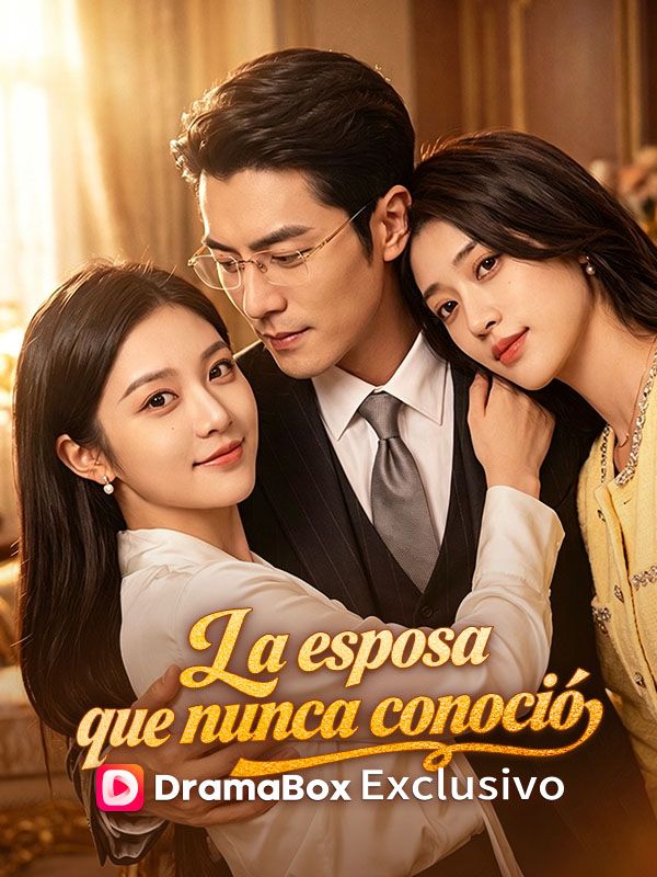 La esposa que nunca conoció poster