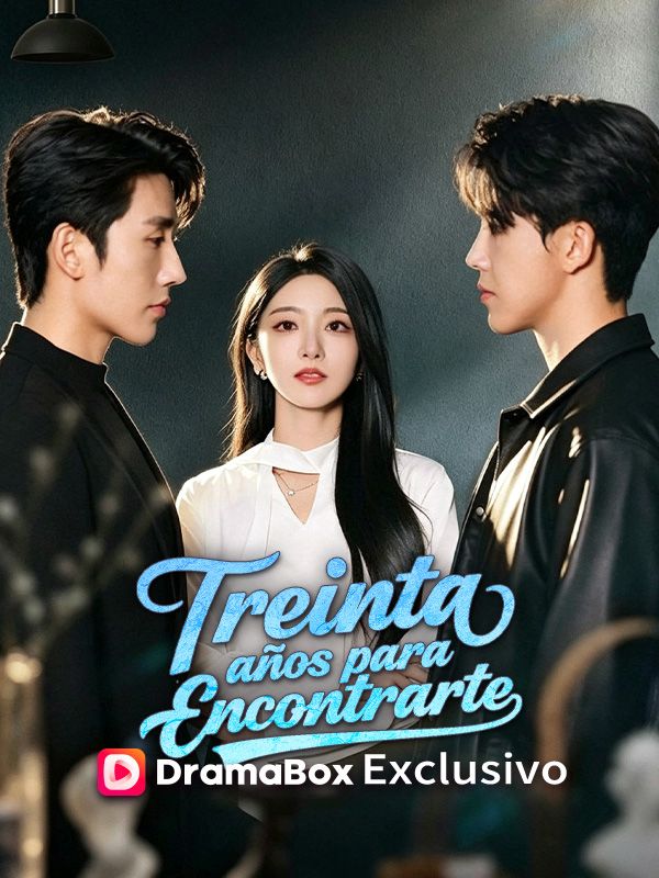 Treinta años para encontrarte poster