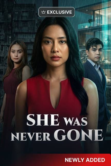 She Was Never Gone poster