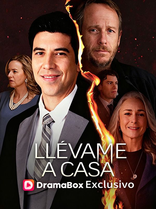 Llévame a casa poster